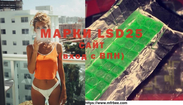 гашик Володарск