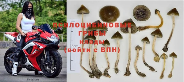 гашик Володарск