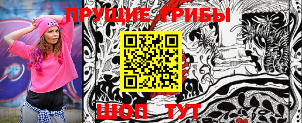 Галлюциногенные грибы Psilocybe  Вход с VPN  Галлюциногенные грибы мицелий  Можга 