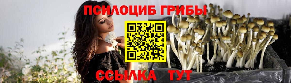Псилоцибиновые грибы прущие грибы Можга